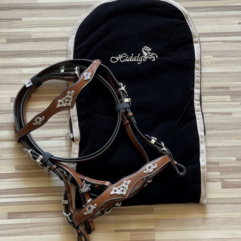 Bolsa de caracoles Hidalgo